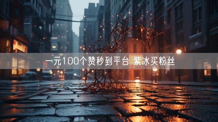 一元100个赞秒到平台 紫冰买粉丝
