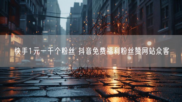 快手1元一千个粉丝 抖音免费福利粉丝赞网站众客