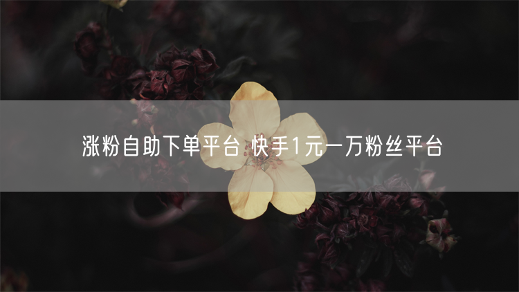 涨粉自助下单平台 快手1元一万粉丝平台