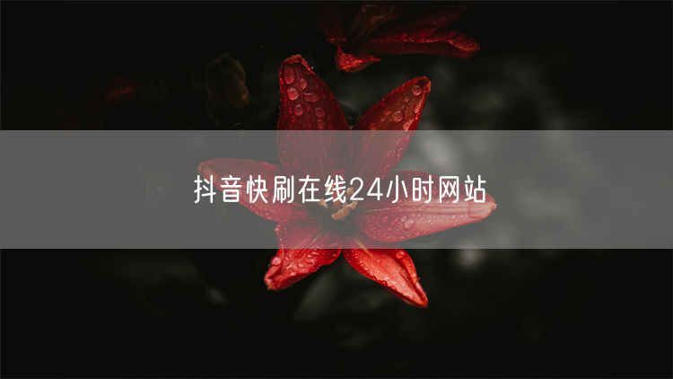 抖音快刷在线24小时网站