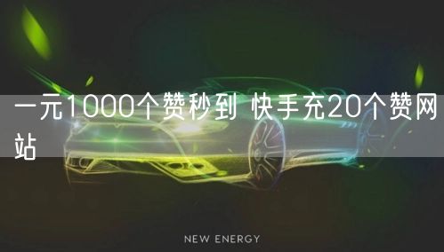 一元1000个赞秒到 快手充20个赞网站