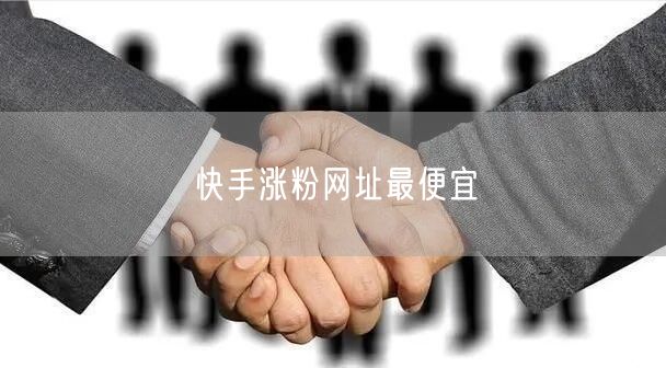 快手涨粉网址最便宜
