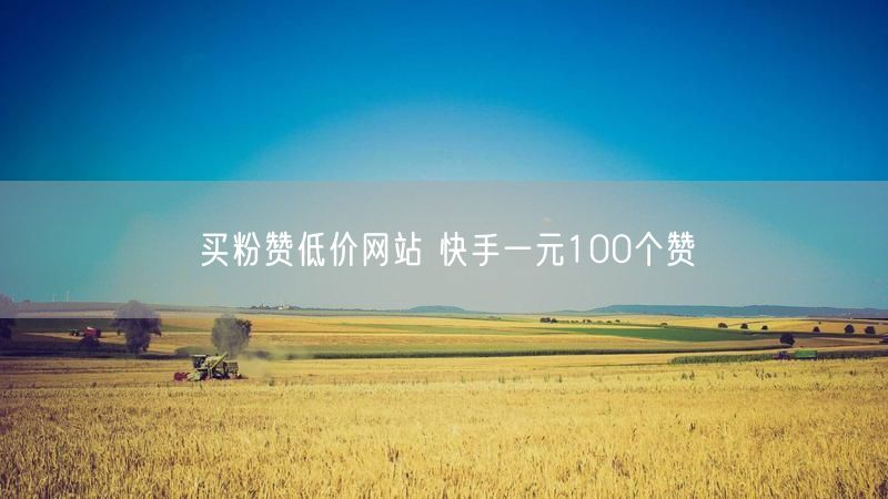 买粉赞低价网站 快手一元100个赞