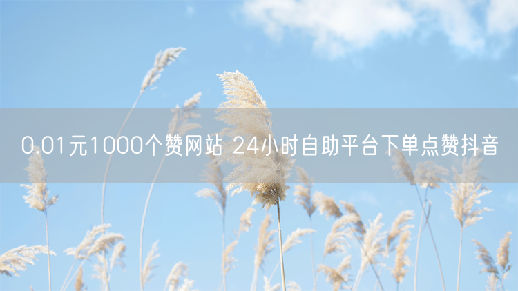 0.01元1000个赞网站 24小时自助平台下单点赞抖音