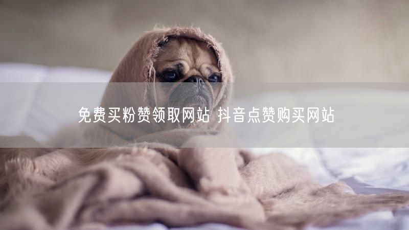 免费买粉赞领取网站 抖音点赞购买网站