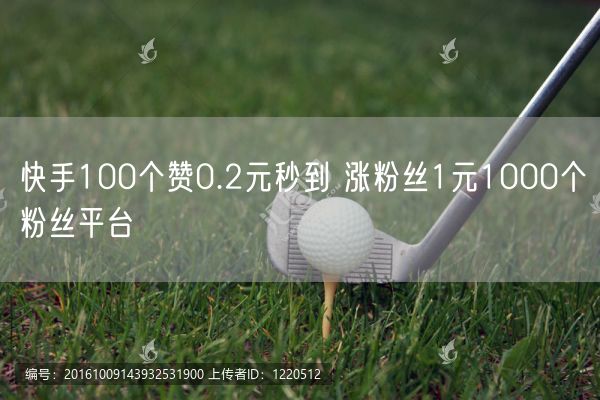 快手100个赞0.2元秒到 涨粉丝1元1000个粉丝平台