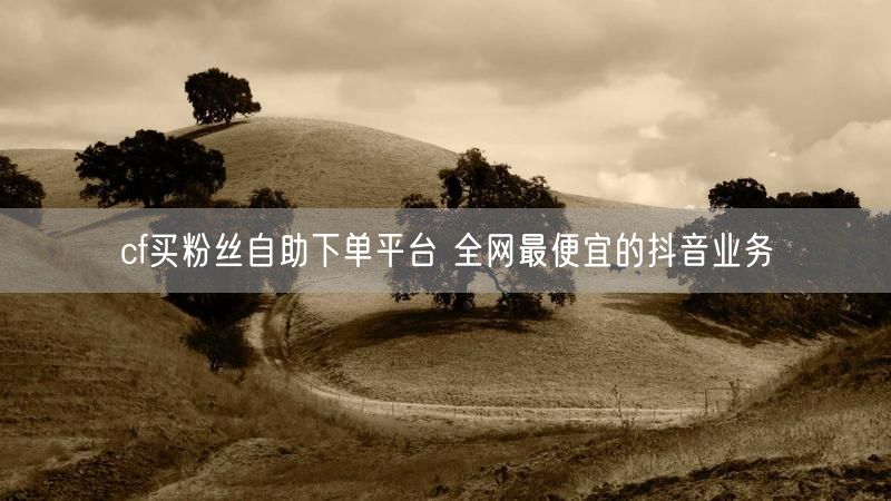cf买粉丝自助下单平台 全网最便宜的抖音业务