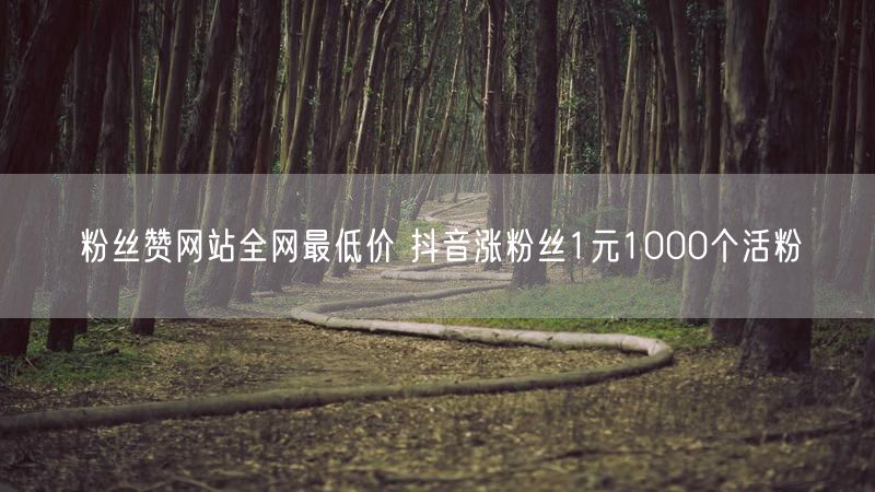 粉丝赞网站全网最低价 抖音涨粉丝1元1000个活粉