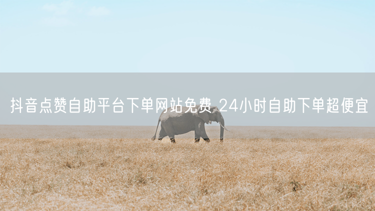 抖音点赞自助平台下单网站免费 24小时自助下单超便宜