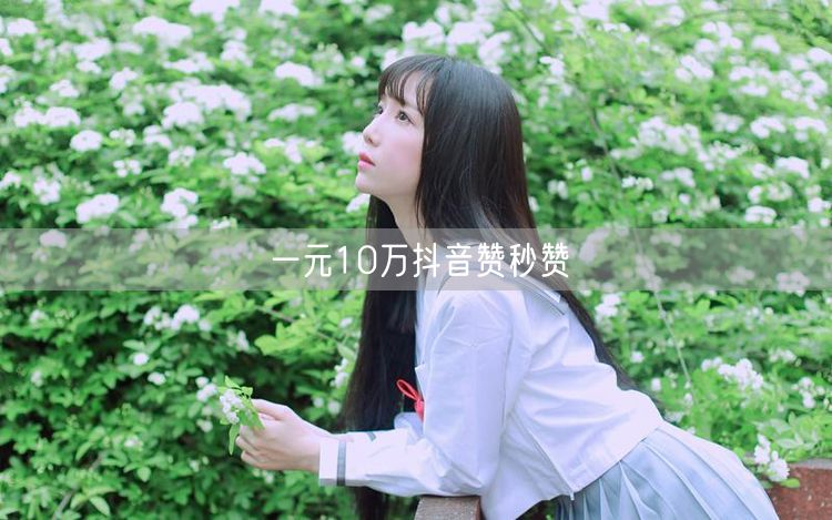 一元10万抖音赞秒赞