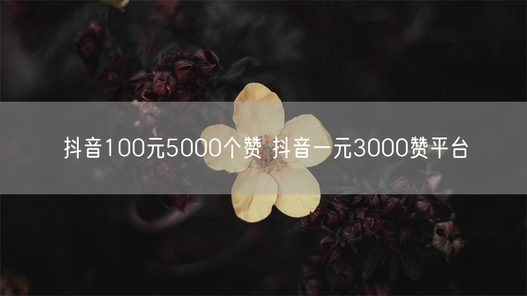 抖音100元5000个赞 抖音一元3000赞平台