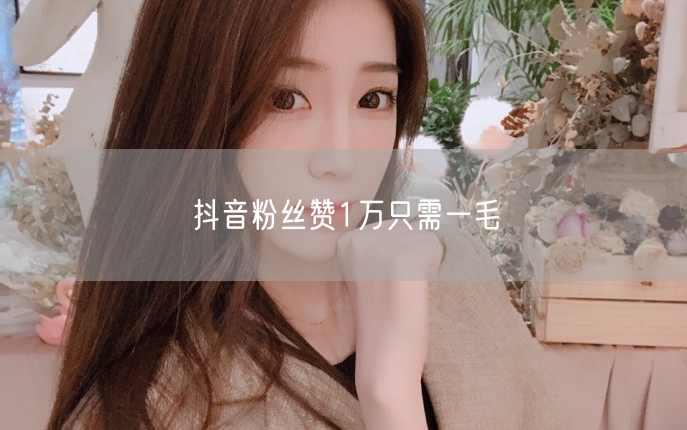 抖音粉丝赞1万只需一毛