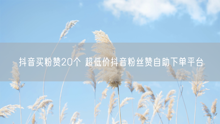 抖音买粉赞20个 超低价抖音粉丝赞自助下单平台
