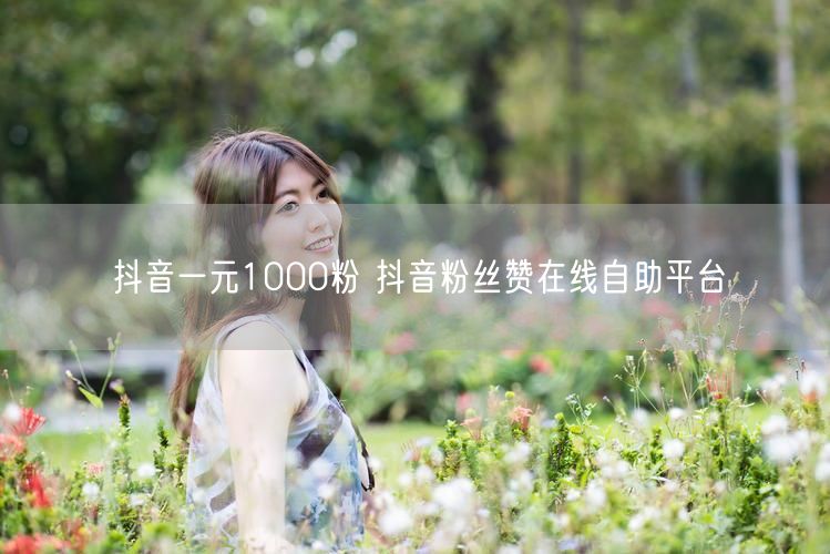 抖音一元1000粉 抖音粉丝赞在线自助平台