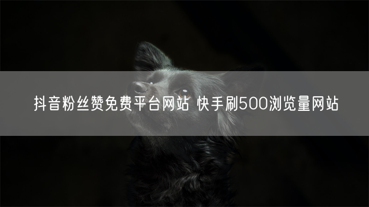 抖音粉丝赞免费平台网站 快手刷500浏览量网站