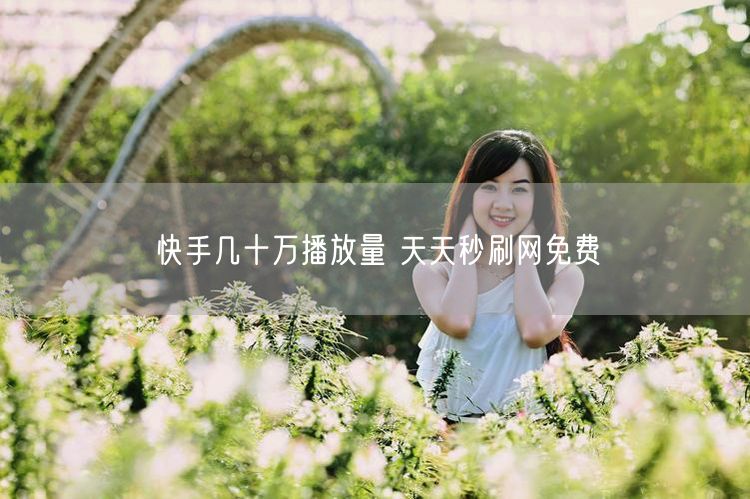 快手几十万播放量 天天秒刷网免费
