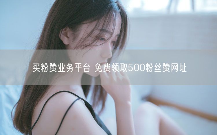 买粉赞业务平台 免费领取500粉丝赞网址