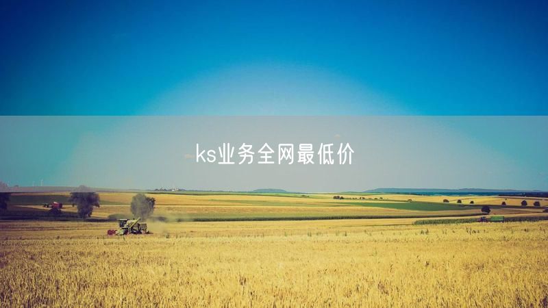 ks业务全网最低价