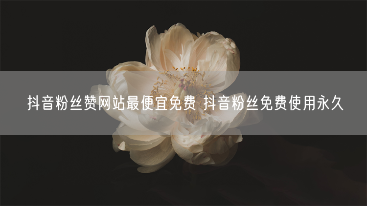 抖音粉丝赞网站最便宜免费 抖音粉丝免费使用永久