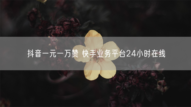 抖音一元一万赞 快手业务平台24小时在线