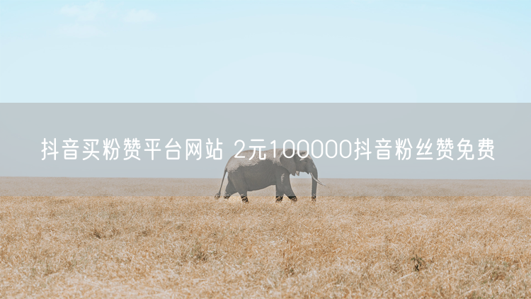 抖音买粉赞平台网站 2元100000抖音粉丝赞免费