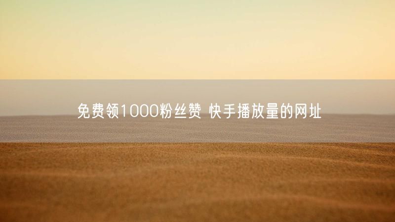 免费领1000粉丝赞 快手播放量的网址