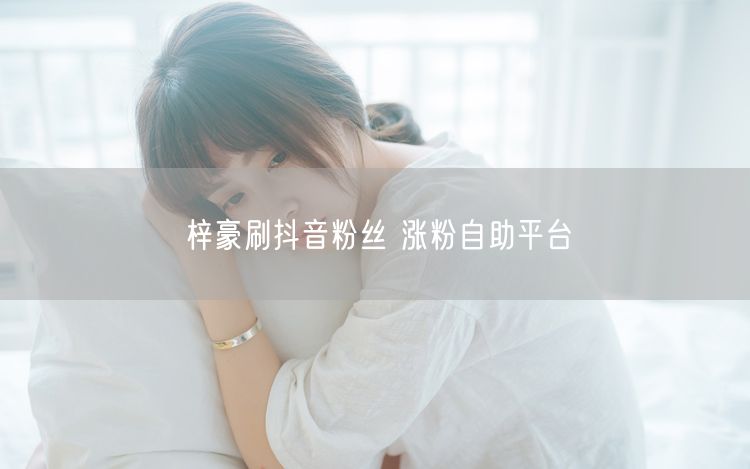 梓豪刷抖音粉丝 涨粉自助平台