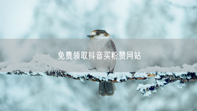免费领取抖音买粉赞网站