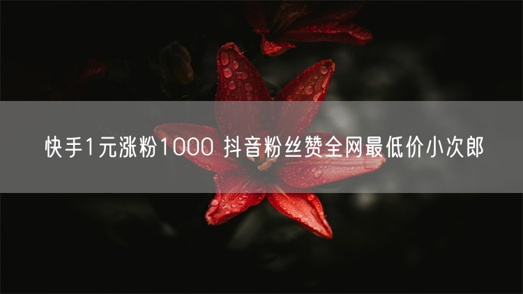 快手1元涨粉1000 抖音粉丝赞全网最低价小次郎