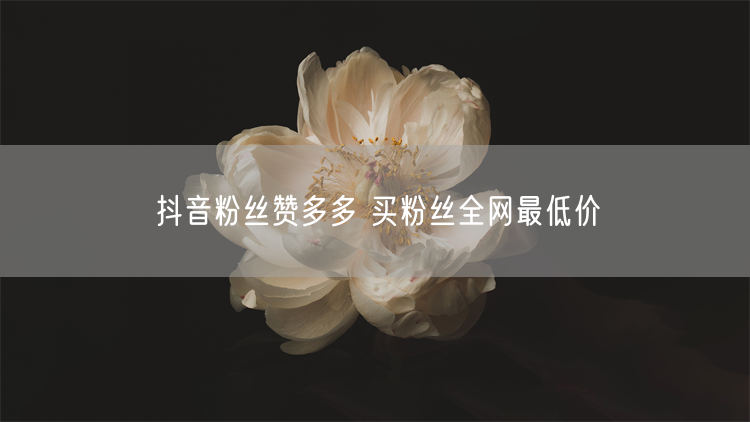 抖音粉丝赞多多 买粉丝全网最低价