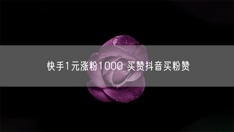 快手1元涨粉1000 买赞抖音买粉赞