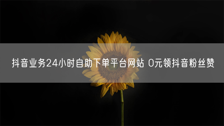 抖音业务24小时自助下单平台网站 0元领抖音粉丝赞
