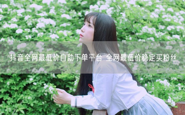 抖音全网最低价自助下单平台 全网最低价稳定买粉丝