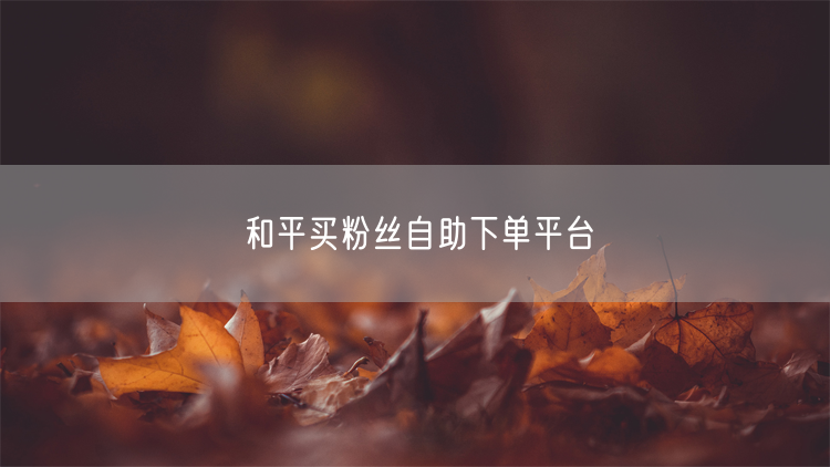 和平买粉丝自助下单平台