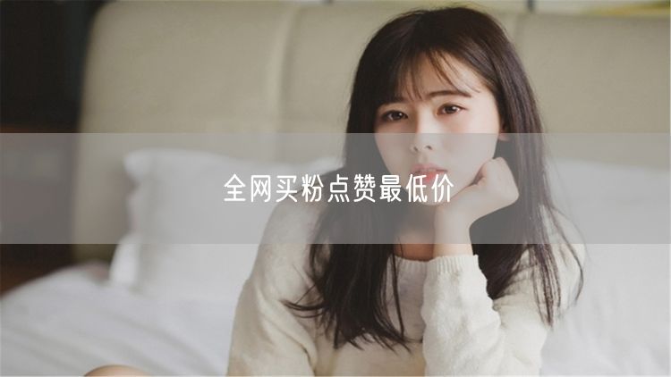 全网买粉点赞最低价