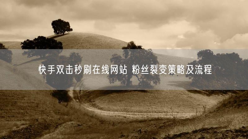 快手双击秒刷在线网站 粉丝裂变策略及流程