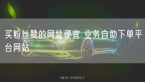 买粉丝赞的网址便宜 业务自助下单平台网站
