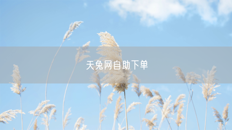 天兔网自助下单