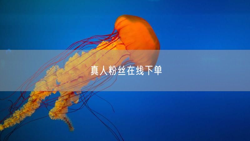 真人粉丝在线下单