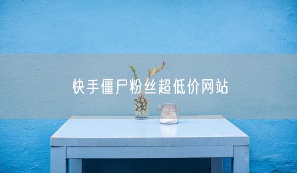 快手僵尸粉丝超低价网站