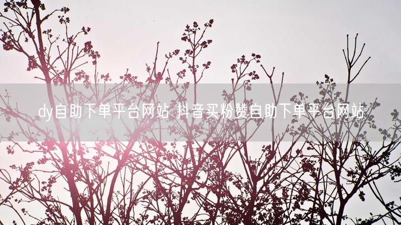 dy自助下单平台网站 抖音买粉赞自助下单平台网站