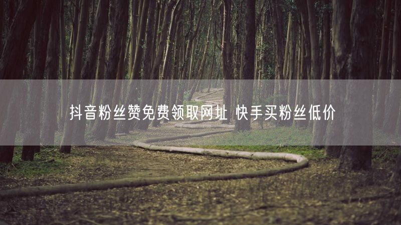 抖音粉丝赞免费领取网址 快手买粉丝低价