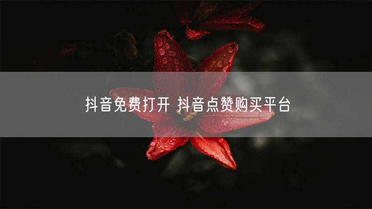 抖音免费打开 抖音点赞购买平台