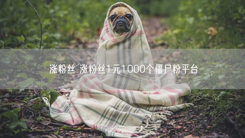 涨粉丝 涨粉丝1元1000个僵尸粉平台