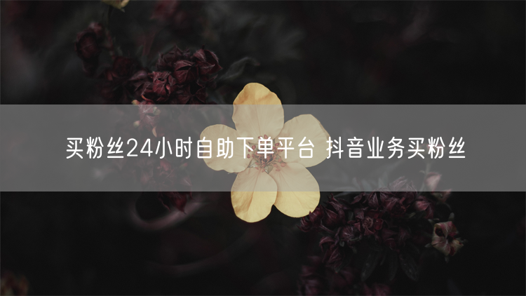买粉丝24小时自助下单平台 抖音业务买粉丝