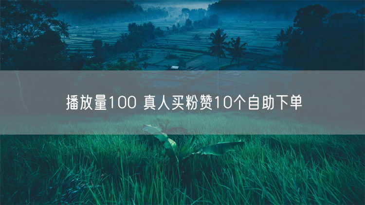 播放量100 真人买粉赞10个自助下单