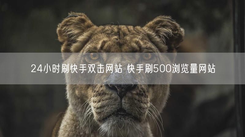 24小时刷快手双击网站 快手刷500浏览量网站