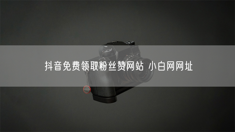 抖音免费领取粉丝赞网站 小白网网址
