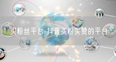 买粉丝平台 抖音买粉买赞的平台