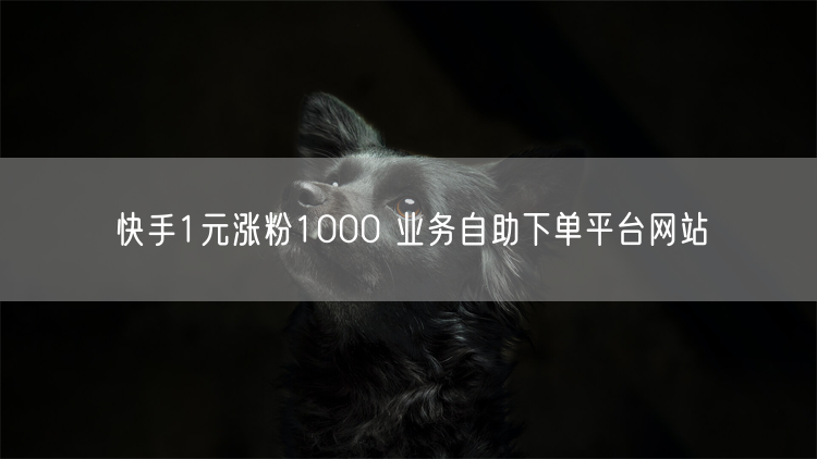 快手1元涨粉1000 业务自助下单平台网站
